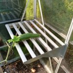 Palram Greenhouse Shelf
