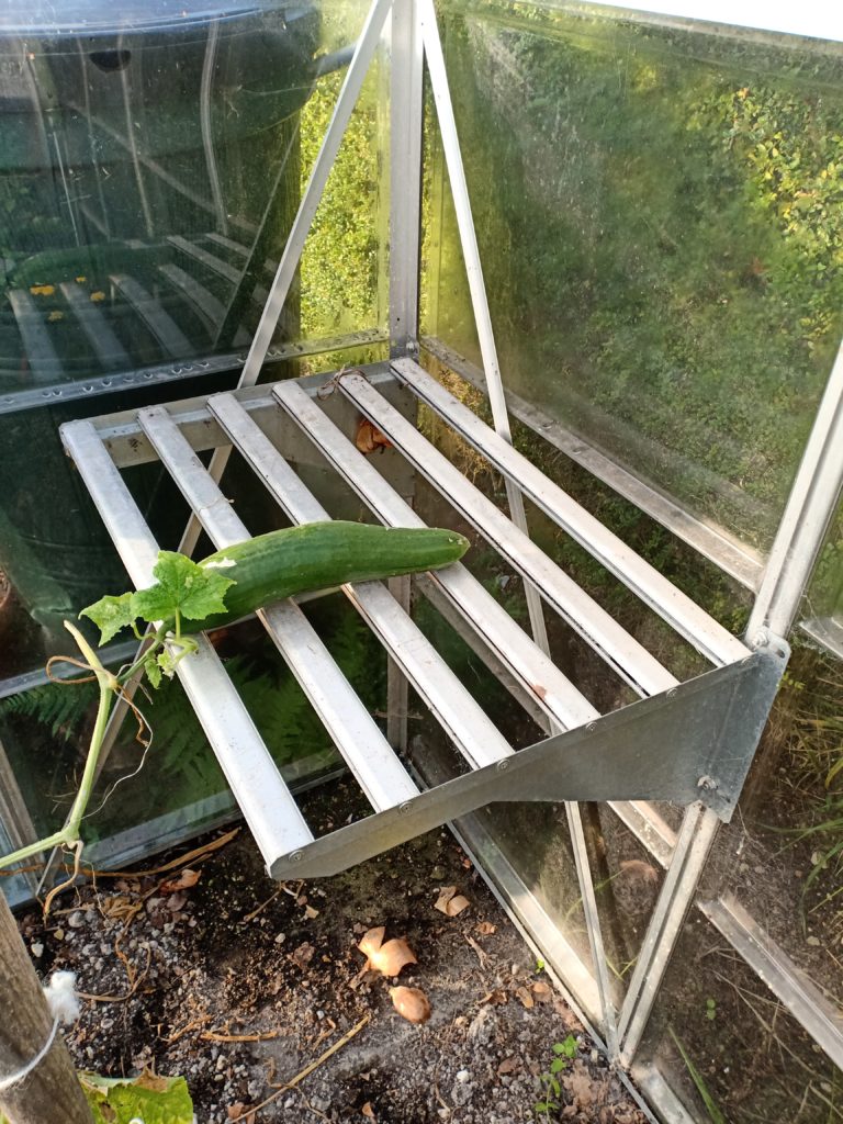 Palram Greenhouse Shelf