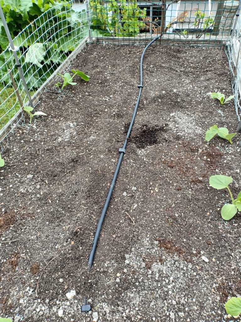 Irrigation pipe running up a raised bed